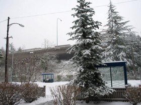 Seattle Snow (2012)